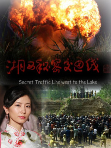 张淼怡泳装照图片